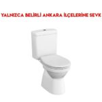 Vitra S20 Round Yerden Klozet Seti